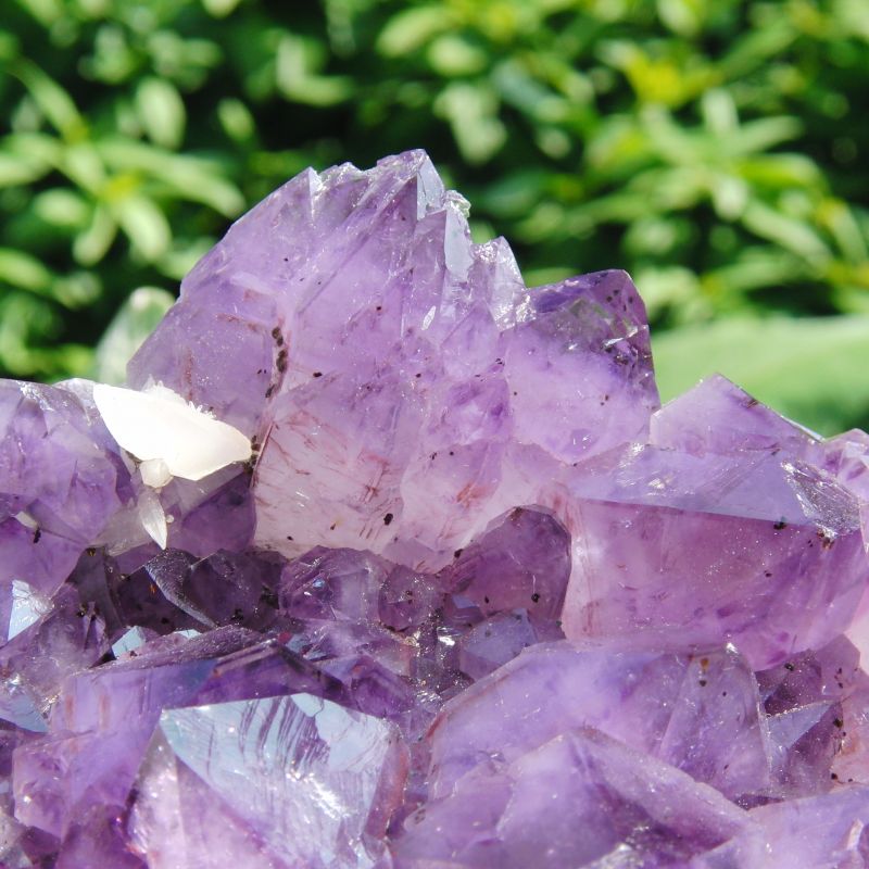 Amethyst Kristall Bolivien mit Goethit-Einschlüssen - Steinkreis Mineralien & Gesundheit - Stuttgart- Bild 1