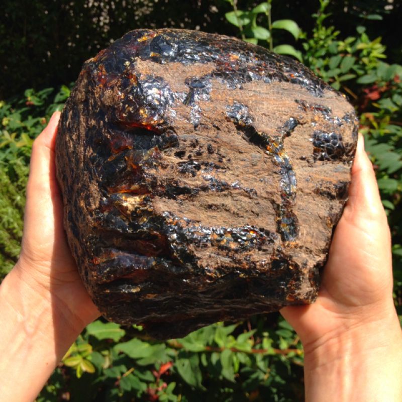 1800 Gramm schwerer Bernstein aus Borneo,noch völlig unbearbeitet - Steinkreis Mineralien & Gesundheit - Stuttgart- Bild 1
