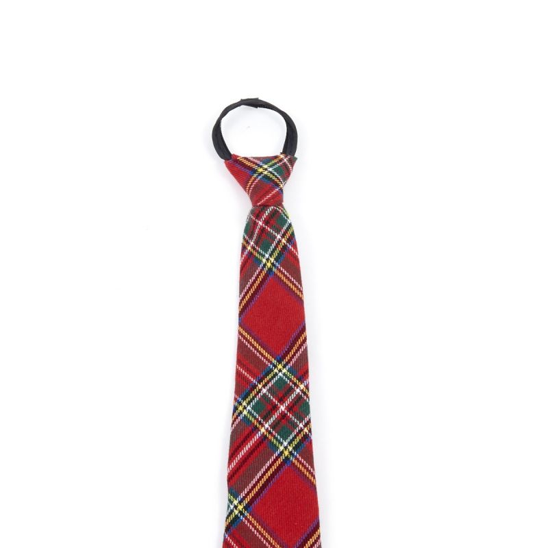 krawatte-rot-kariert<br>
100% Polyester,<br>
Home/Accessoires/Krawatten & Fliegen<br>
[http://www.pierros.de/produkt/krawatte-rot-kariert, jetzt auf Pierros.de kaufen]  - Pierros Accessoires - Mayen- Bild 1