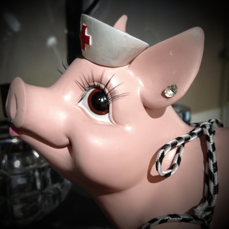 SM Schweine Von KARE - Surprise Geschenke & Wohnaccessoires - Köln- Bild 4